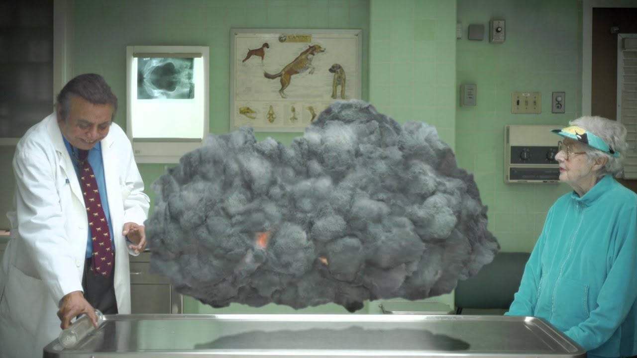 VET - image 1