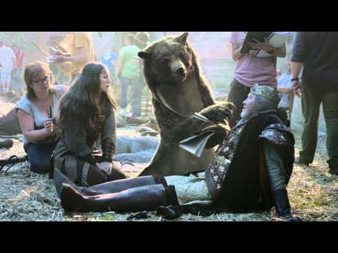 THE BEAR - image 2