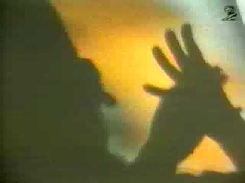 SHADOWS - image 2