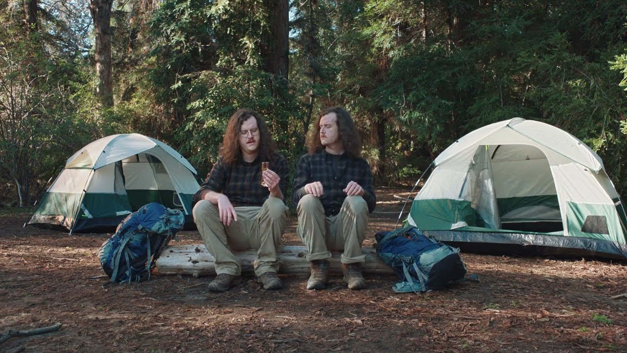 BEARS - image 1