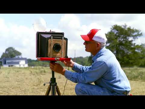 HENS BEHIND THE LENS - image 2