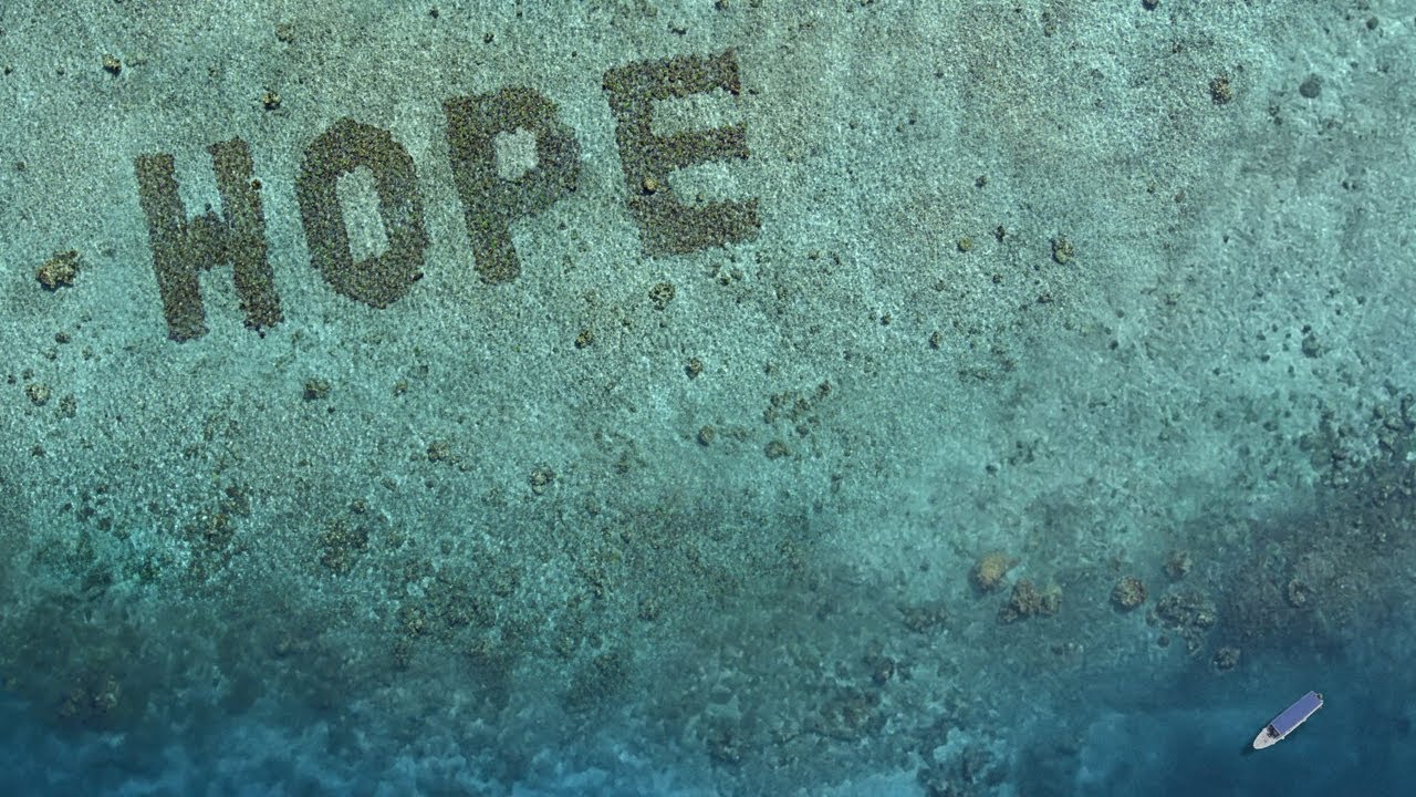 HOPE REEF - image 1
