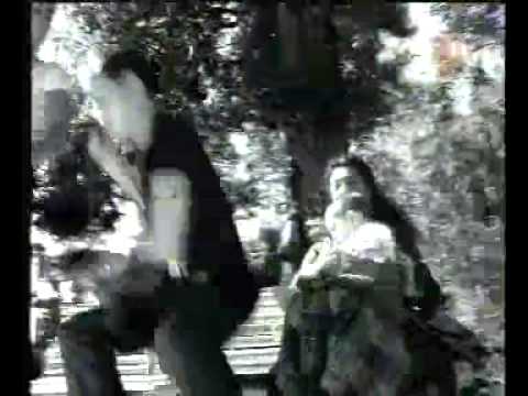 XENOPHOBIA - image 2