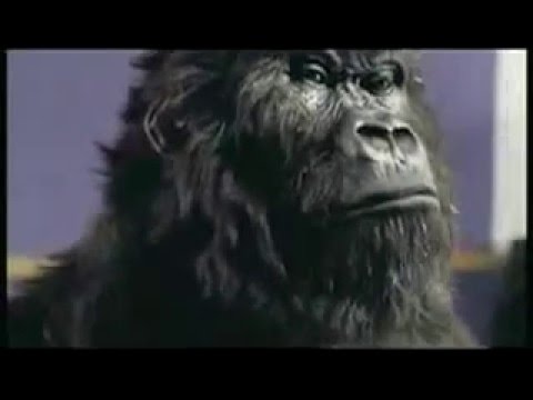 GORILLA - image 2