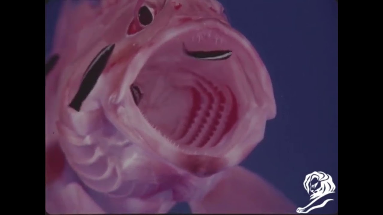 MOUTH CLEANING - image 1