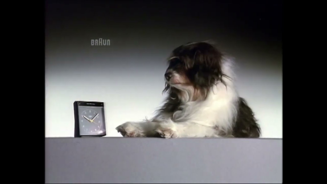 DOG - image 1