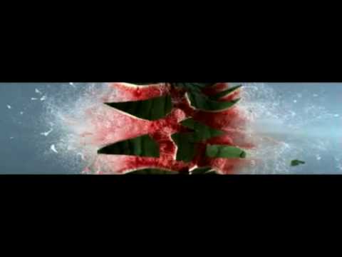 KILL THE GUN - image 2