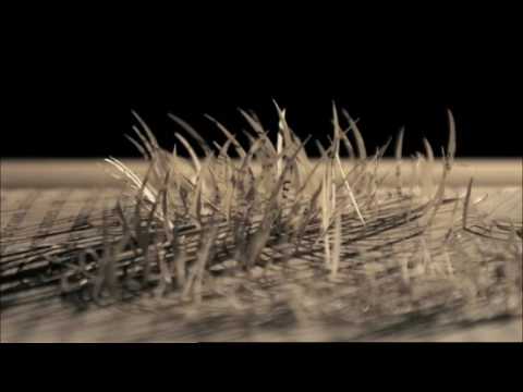 GOING WEST - image 2
