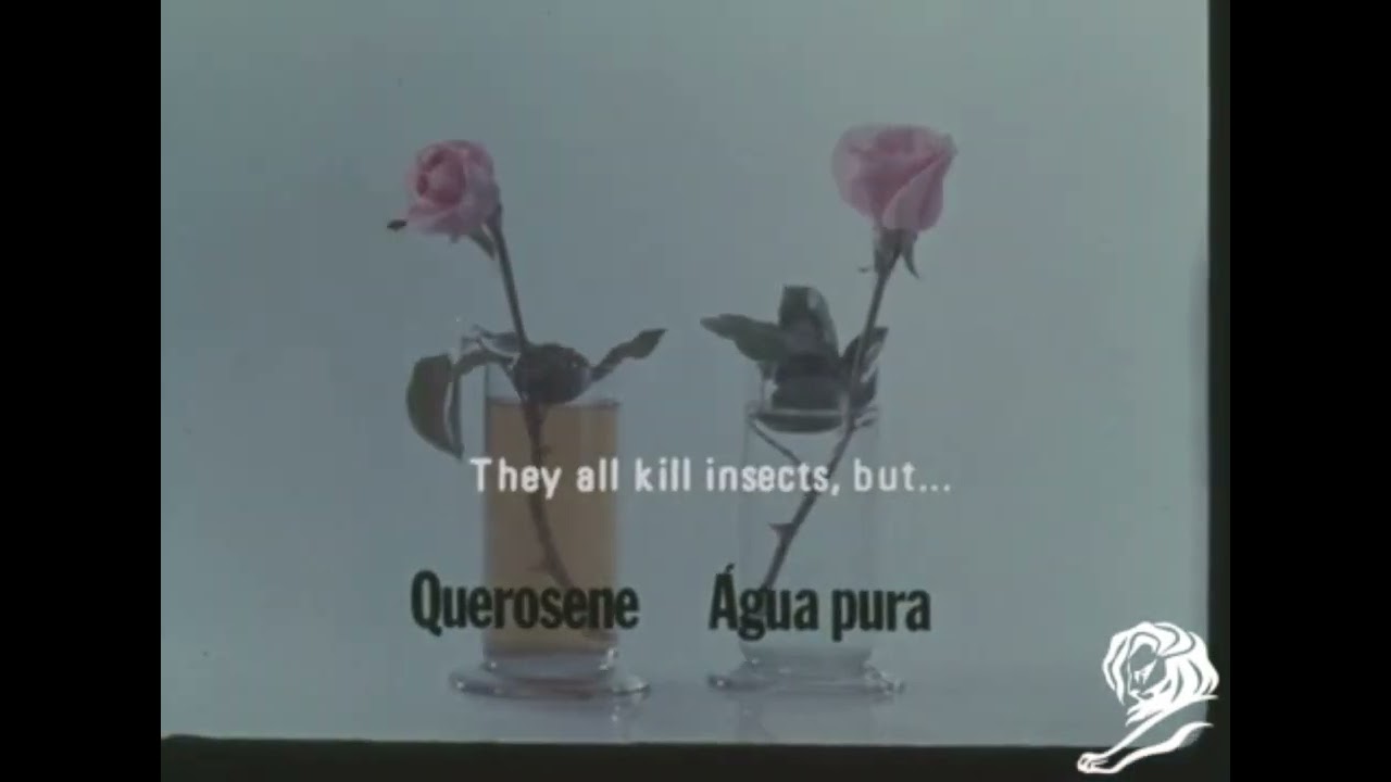 WATER AND KEROSENE - image 1