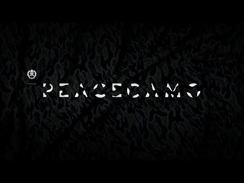 PEACECAMO - image 2