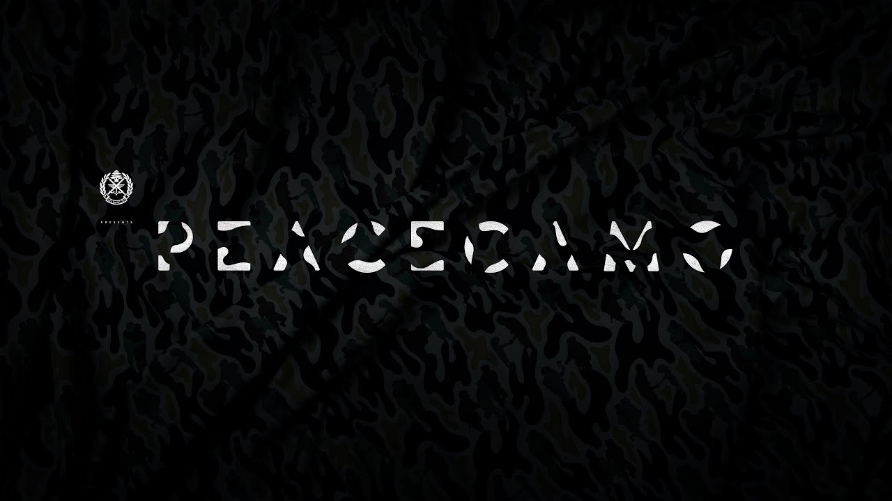 PEACECAMO - image 1