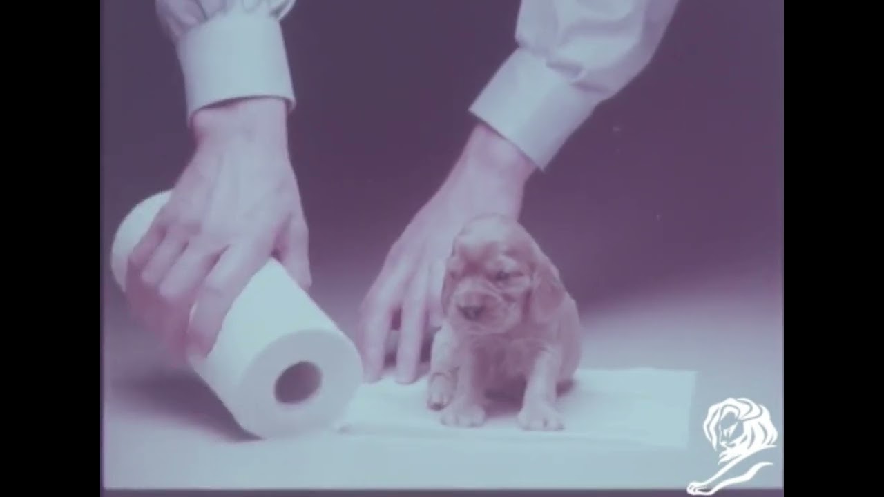 CHIEN - image 1