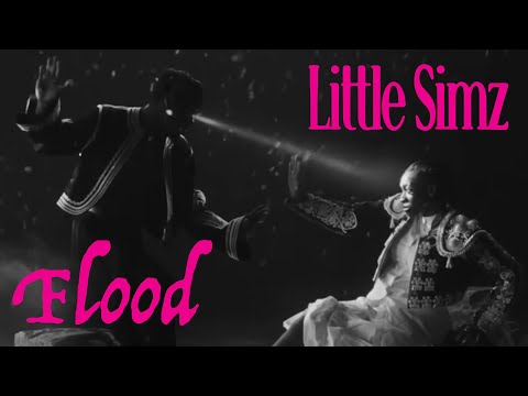 Little Simz - Flood - image 2