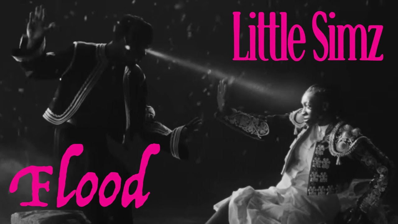 Little Simz - Flood - image 1