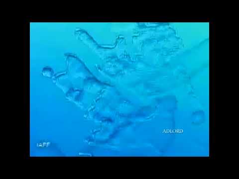 I LIKE THE SEA, THE SEA IS COMING - image 2