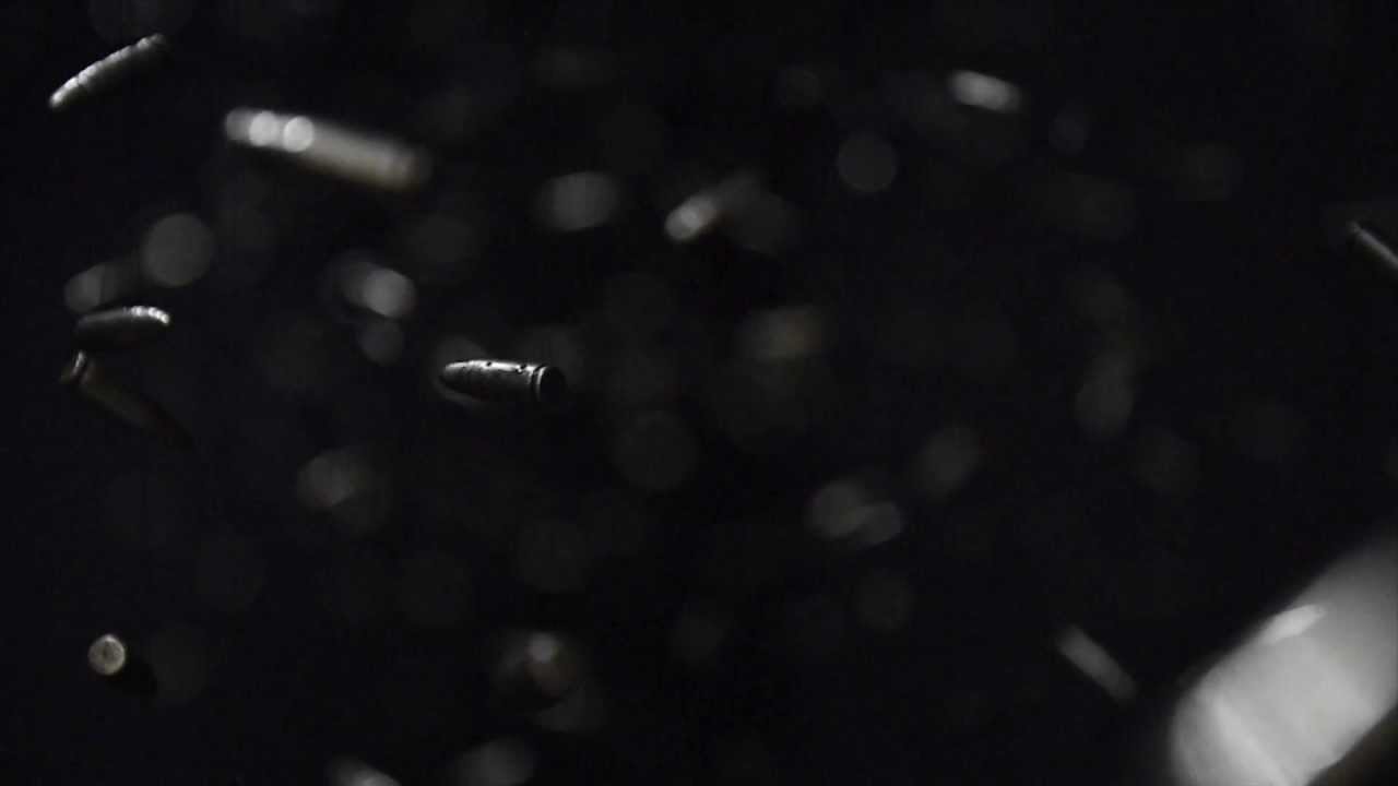 FROZEN BULLETS - image 1