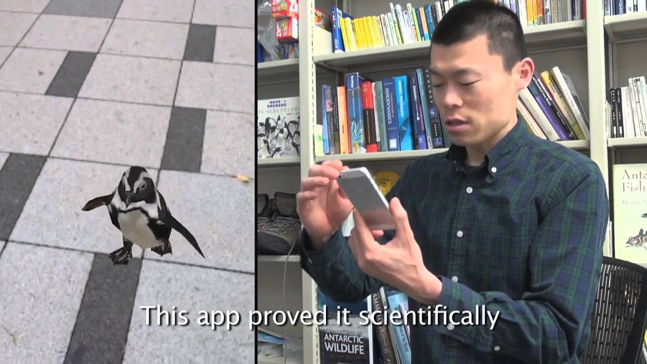 PENGUIN NAVI - image 1