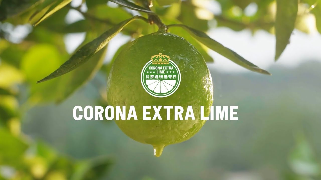 Corona Extra Lime - image 1