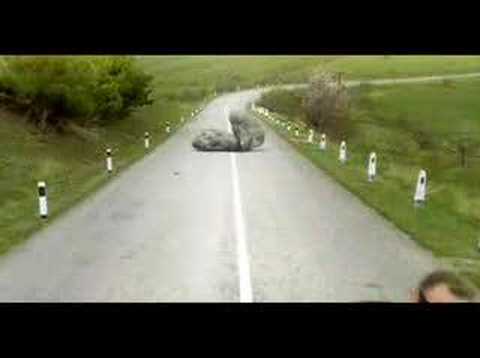 NEVERENDING ROAD - image 2