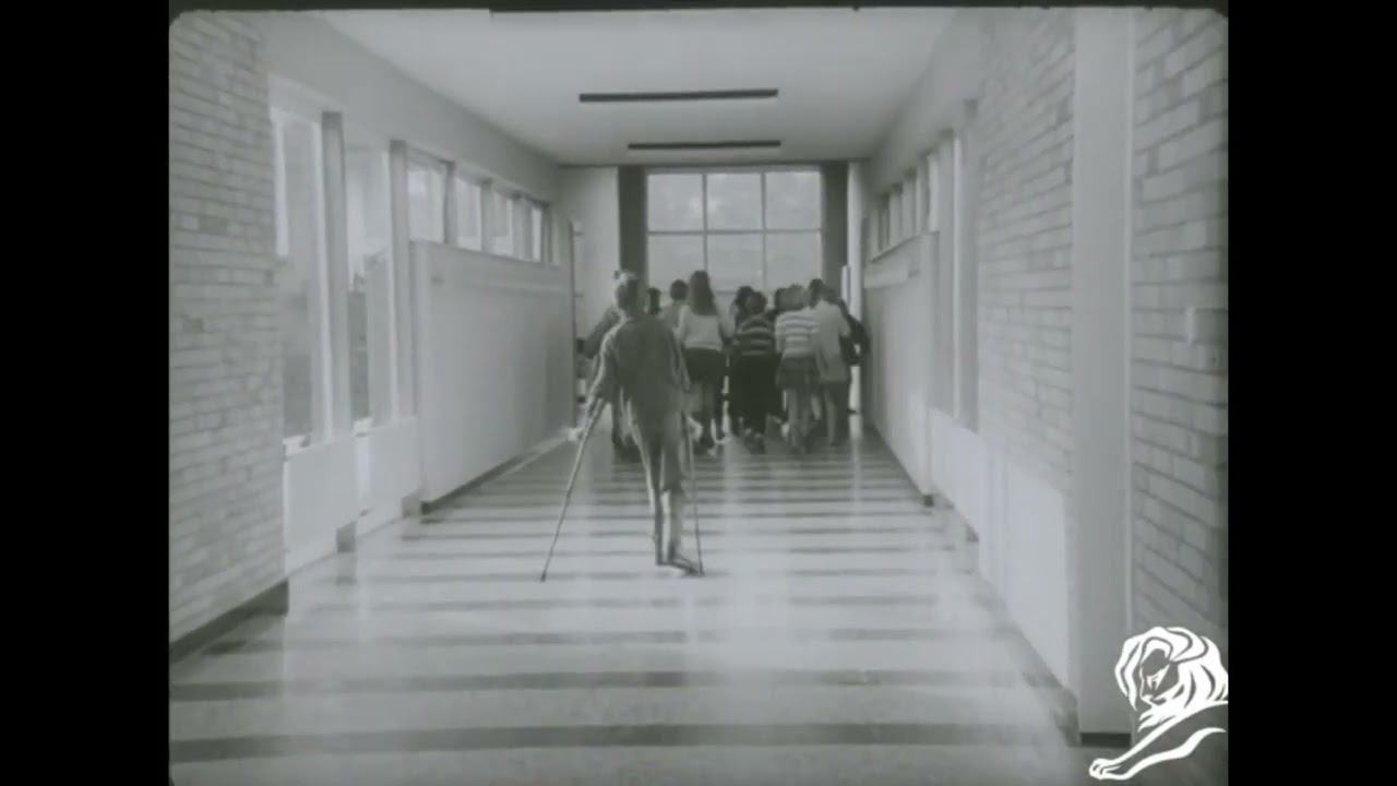 SCHILHOF - image 1