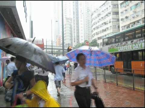 UMBRELLA BAGS - image 2