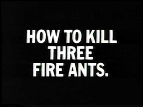 FIRE ANTS - image 2