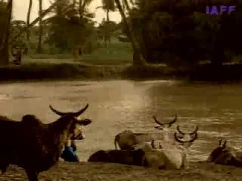 RIVER - image 2