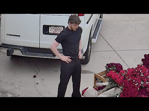 Jack Harlow - Hello Miss Johnson - image 2