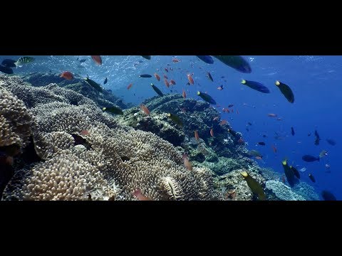 VALUE OF NATURE - image 2