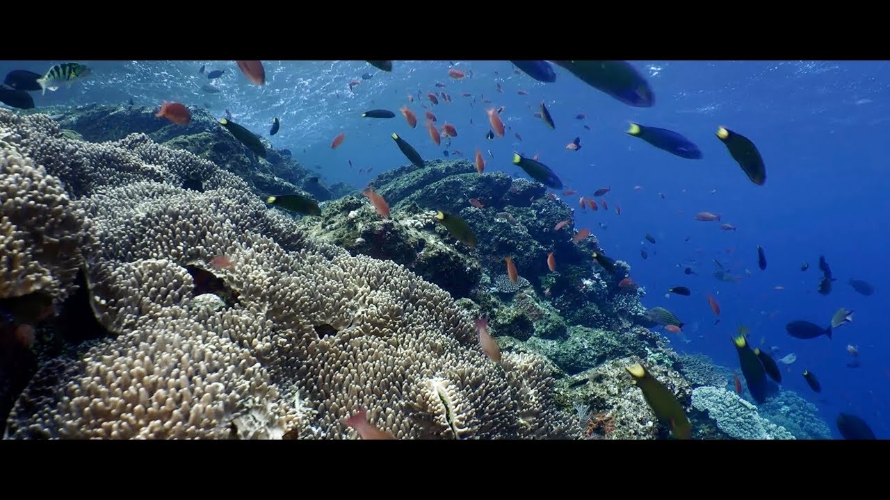 VALUE OF NATURE - image 1