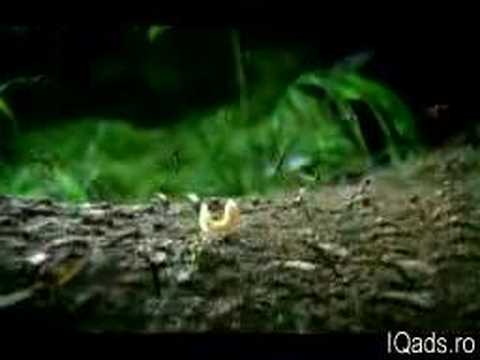 MOSQUITO - image 2