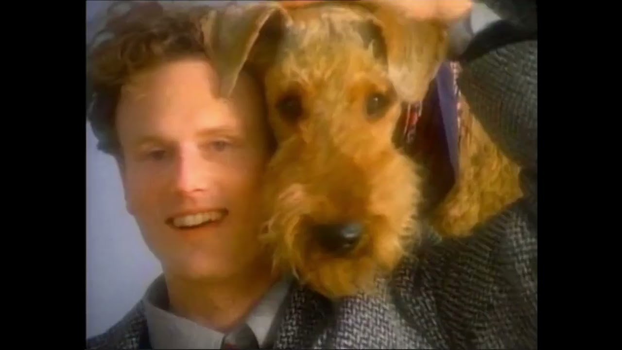 PHOTO SESSION: AIREDALE - image 1