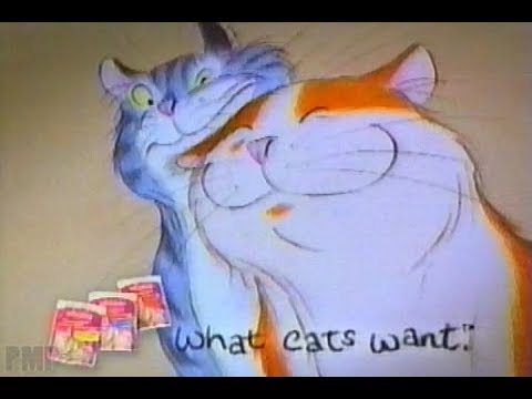 CATS - image 2