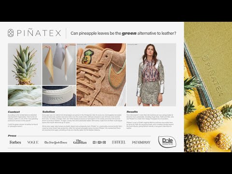 PIÑATEX - image 2