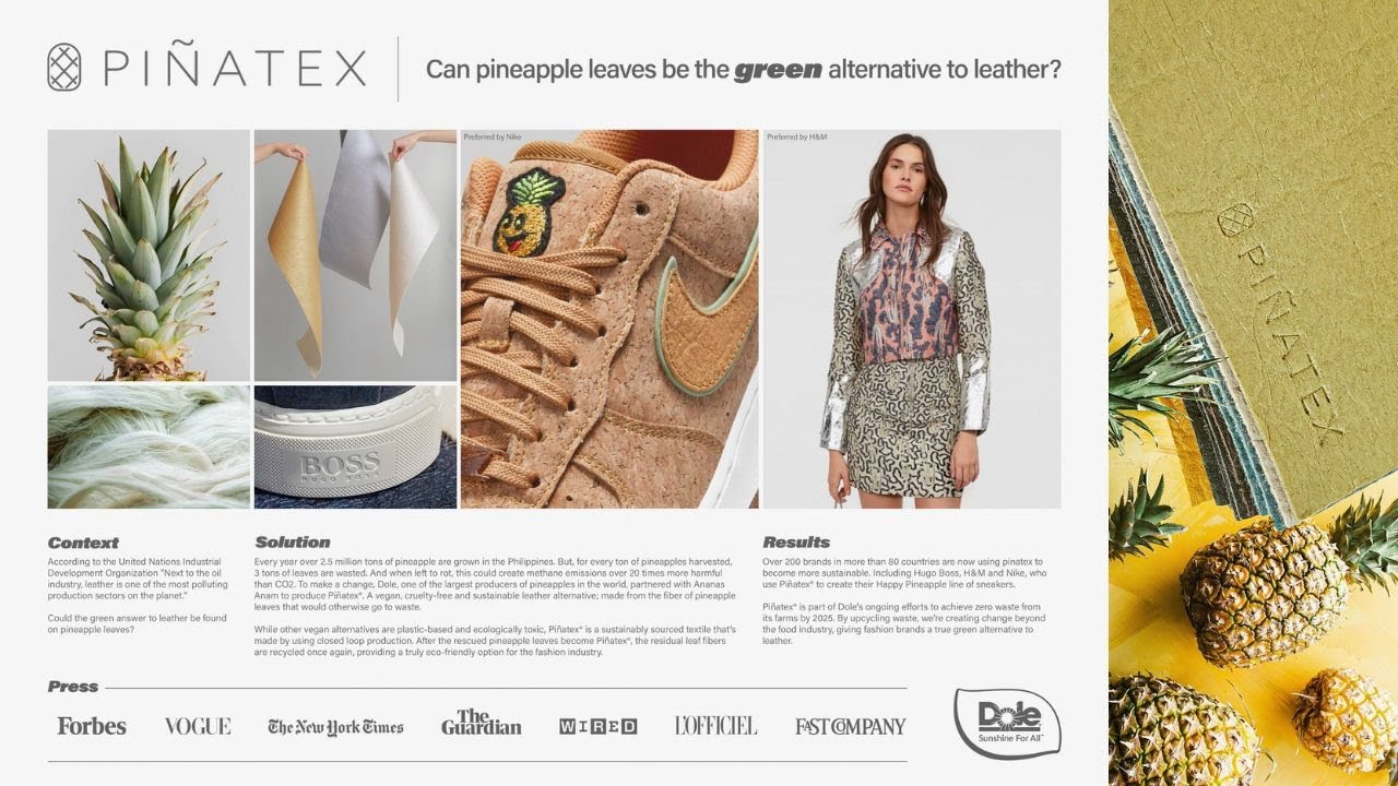 PIÑATEX - image 1