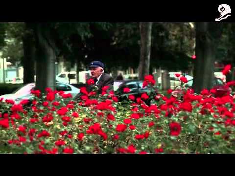 BECAUSE I LIKE YOU - image 2
