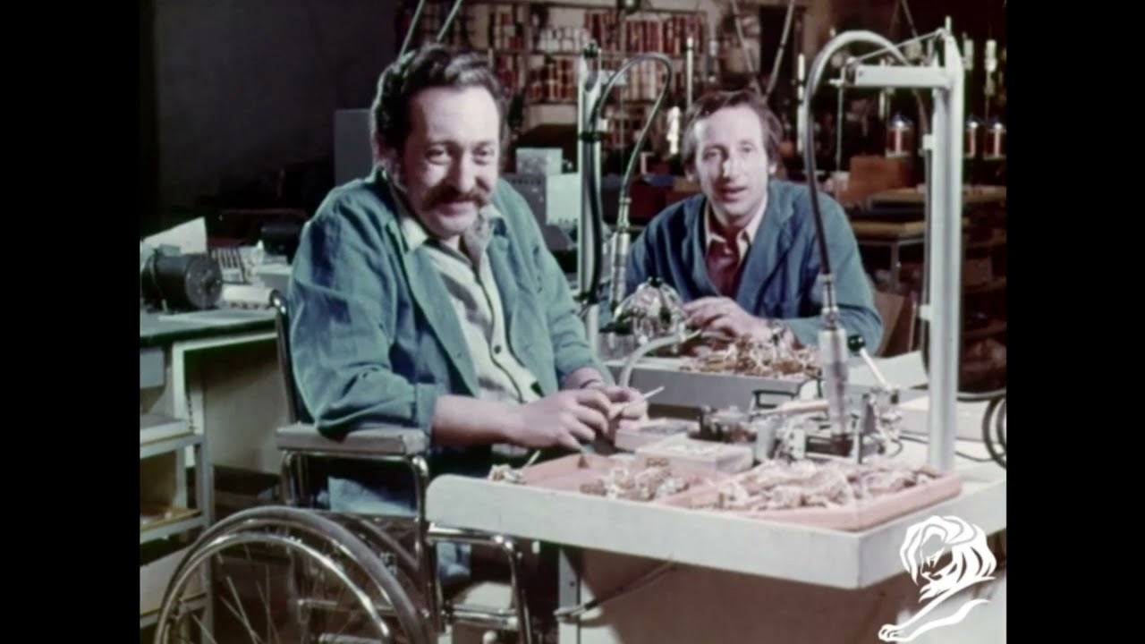LES HANDICAPES - image 1