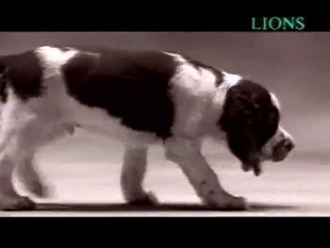 SAM - image 2