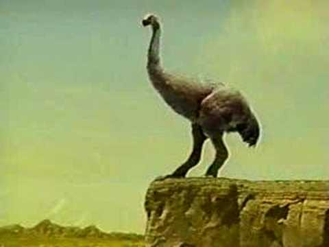 MOA - image 2