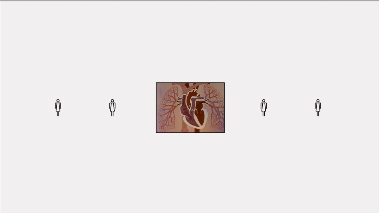 WOMANIKIN - image 1