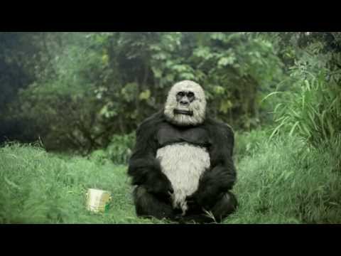 ENDANGERED - image 2