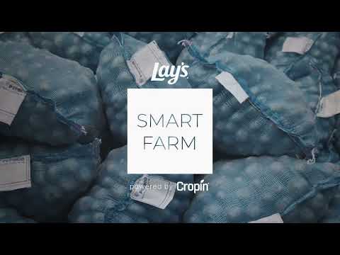 LAY’S SMART FARM - image 2