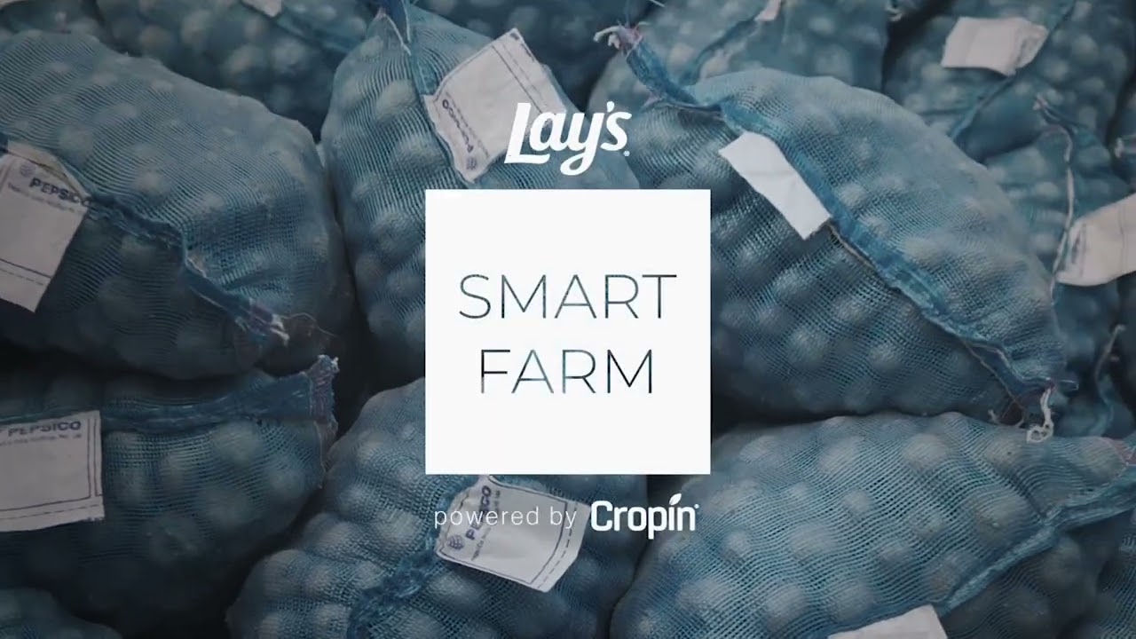 LAY’S SMART FARM - image 1