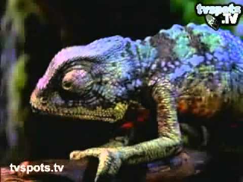 BAD DAY TO BE A FROG - image 2