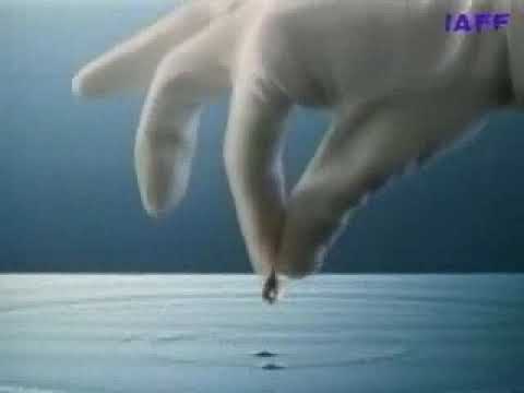 PLONK - image 2