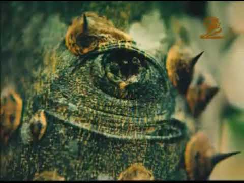 EYES - image 2