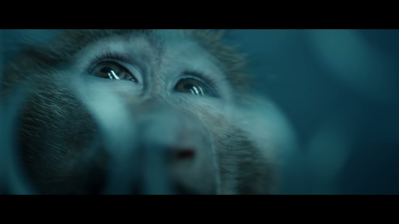 THE CRY - image 1