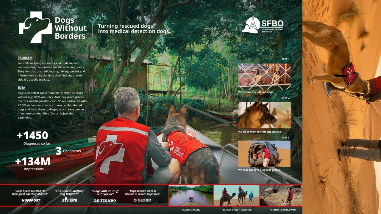 DOGS WITHOUT BORDERS - image 1