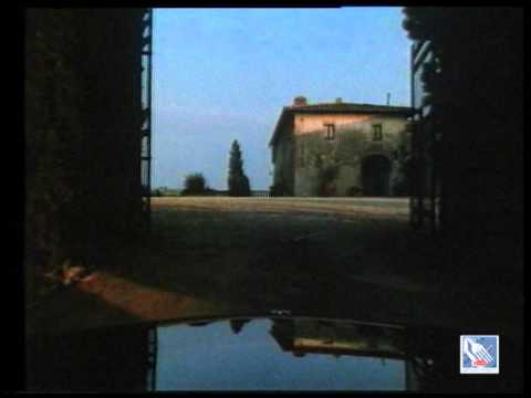 TRENO - image 2