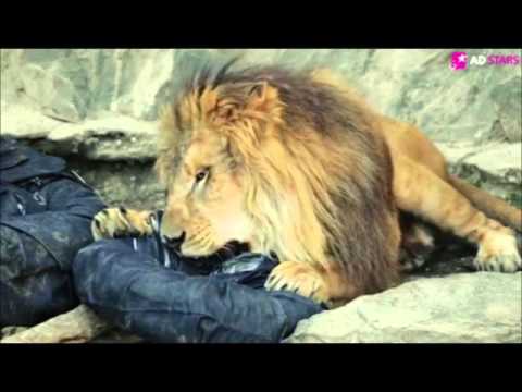 ZOO JEANS - image 2